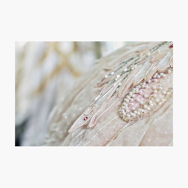 Ballet Bling Photographic Print
