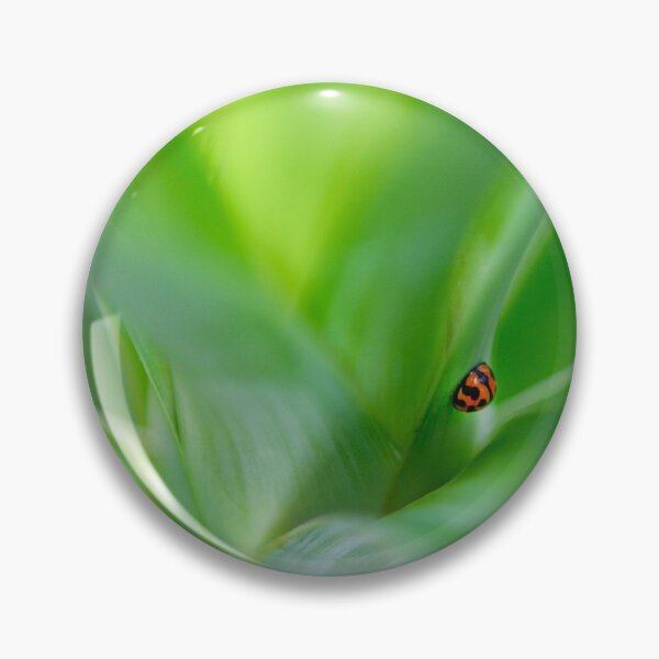 Item preview, Lady Beetle designed and sold by Adrian Alford Photography.