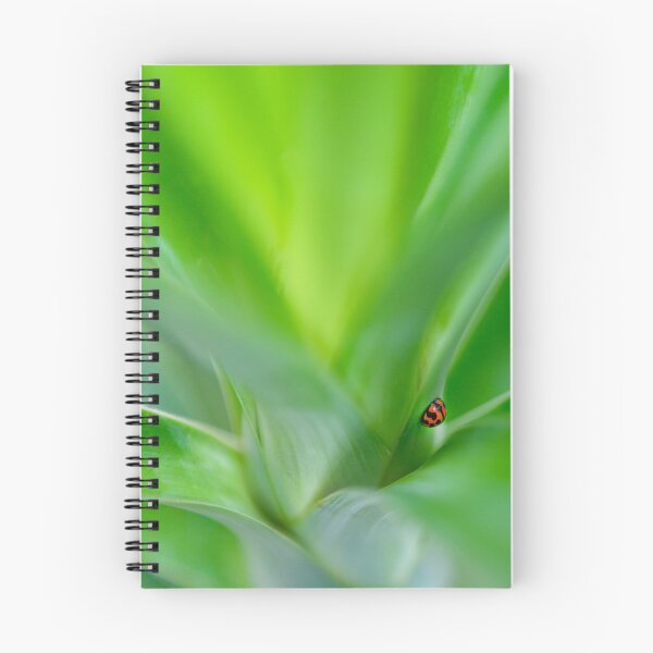 Item preview, Lady Beetle designed and sold by Adrian Alford Photography.