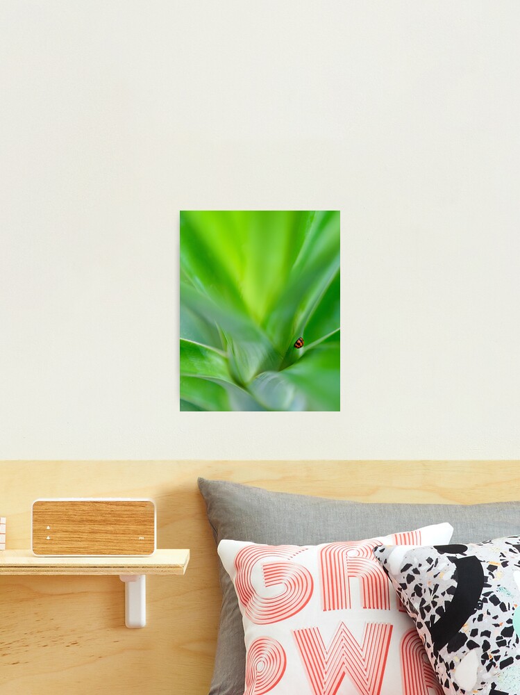 Thumbnail 1 of 3, Photographic Print, Lady Beetle designed and sold by AdrianAlford.