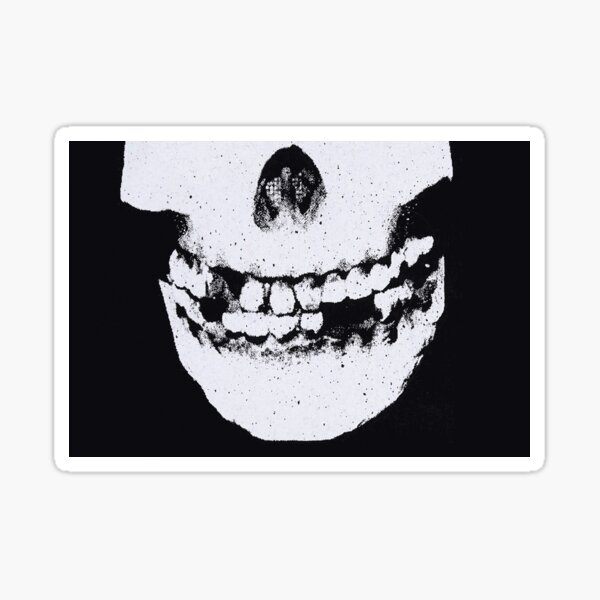 BLACK FLAG Sticker Punk Hardcore band Thrash music MINOR Misfits VINTAGE 2-4-1 