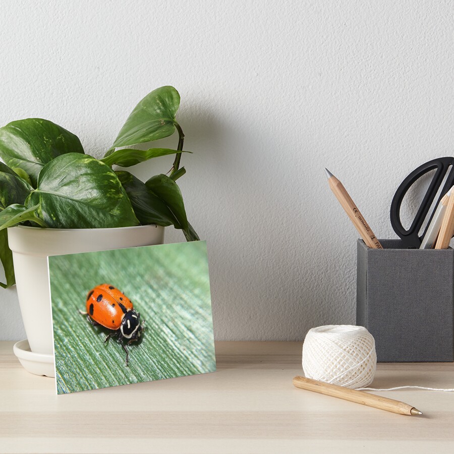 Item preview, Art Board Print designed and sold by aflutter.
