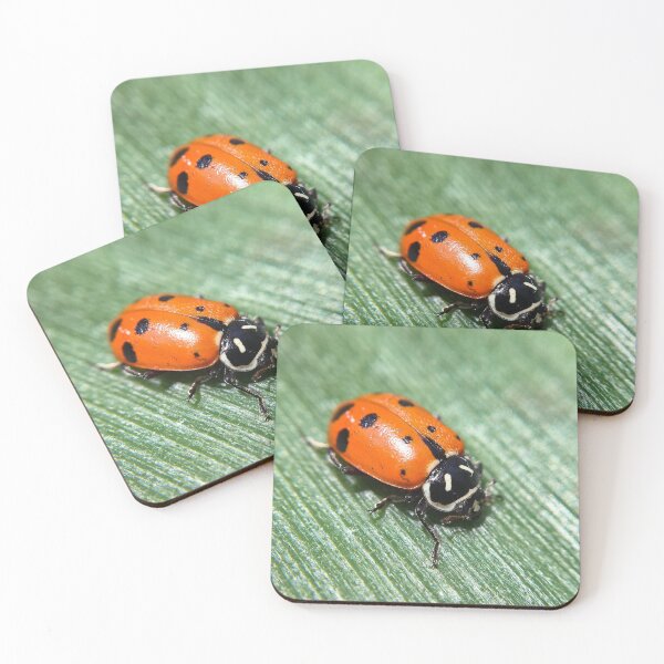 Item preview, Ladybug designed and sold by aflutter.