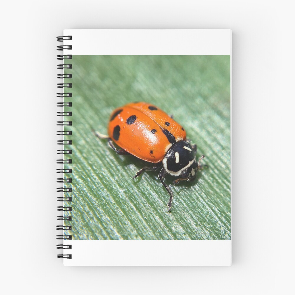 Item preview, Spiral Notebook designed and sold by aflutter.