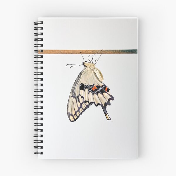 Item preview, Giant swallowtail designed and sold by aflutter.