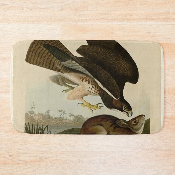 Item preview, 372 Common Buzzard designed and sold by Bird-Lore.