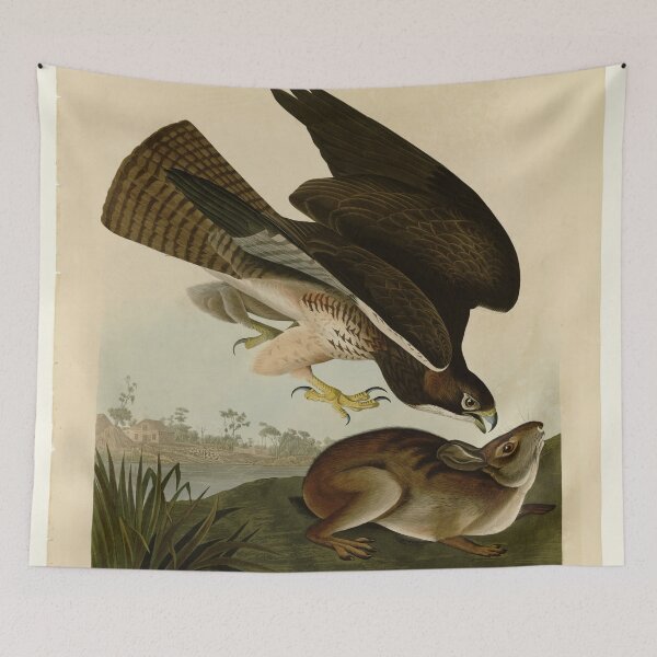 Item preview, 372 Common Buzzard designed and sold by Bird-Lore.