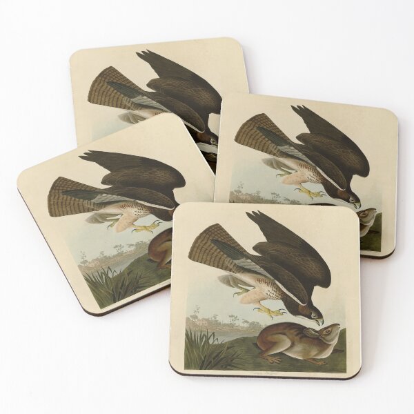 Item preview, 372 Common Buzzard designed and sold by Bird-Lore.
