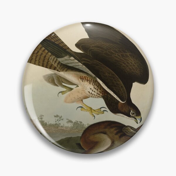 Item preview, 372 Common Buzzard designed and sold by Bird-Lore.