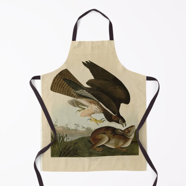 Item preview, 372 Common Buzzard designed and sold by Bird-Lore.