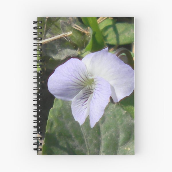 Item preview, Violet Elegance designed and sold by Navigator.
