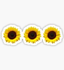 Pegatina Girasoles