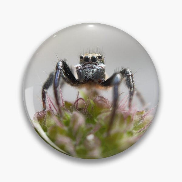 Item preview, Tiny jumping spider in macro designed and sold by aflutter.