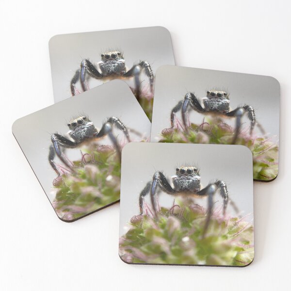 Item preview, Tiny jumping spider in macro designed and sold by aflutter.