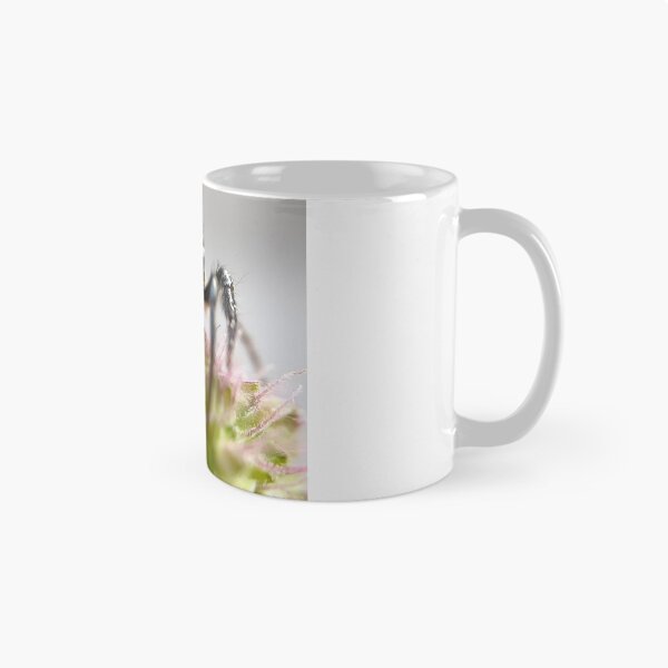 Item preview, Tiny jumping spider in macro designed and sold by aflutter.