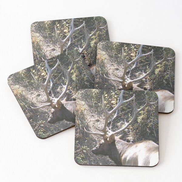 Item preview, Bull Elk designed and sold by Backyardtrail.