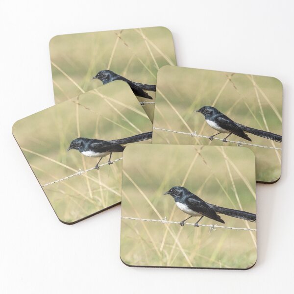 Item preview, Willie Wagtail designed and sold by Peter Hocking.