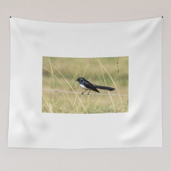 Item preview, Willie Wagtail designed and sold by Peter Hocking.
