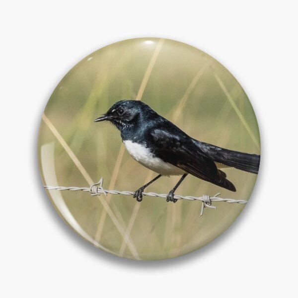 Item preview, Willie Wagtail designed and sold by Peter Hocking.