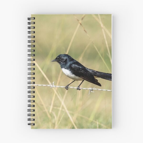 Item preview, Willie Wagtail designed and sold by Peter Hocking.
