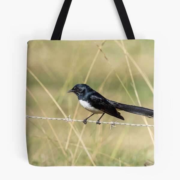 Item preview, Willie Wagtail designed and sold by Peter Hocking.