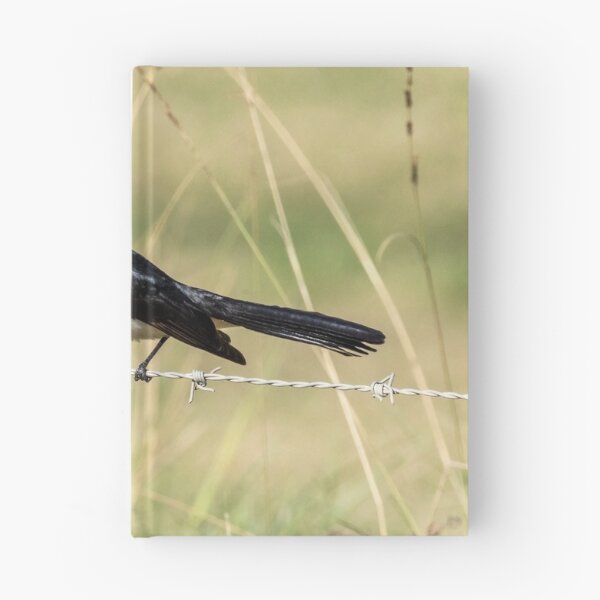 Item preview, Willie Wagtail designed and sold by Peter Hocking.