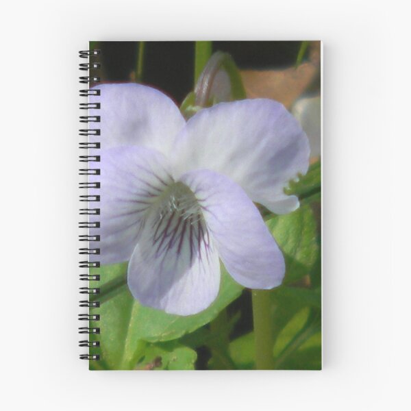 Item preview, Munching Violets designed and sold by Navigator.