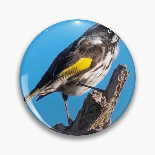 Artikelvorschau, New Holland Honeyeater II entworfen und verkauft von Peter Hocking.