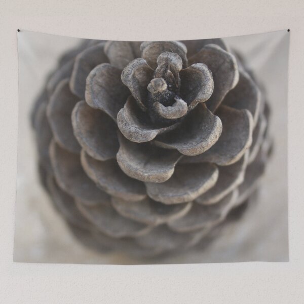 Item preview, Perfect Pinecone Close Up Photograph designed and sold by taiche.