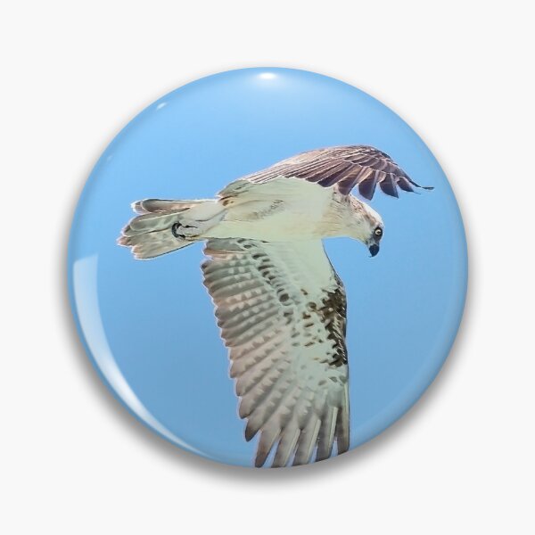 Item preview, Eastern Osprey I designed and sold by Peter Hocking.