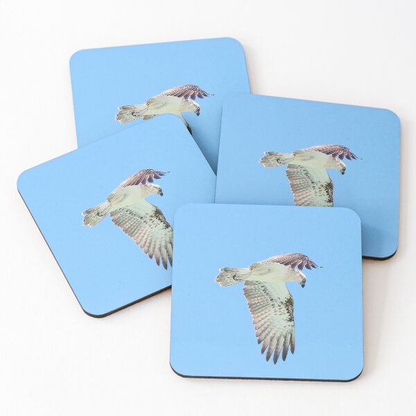Item preview, Eastern Osprey I designed and sold by Peter Hocking.
