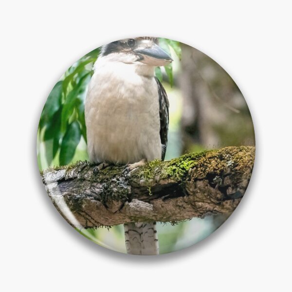 Item preview, Another Kookaburra designed and sold by Peter Hocking.