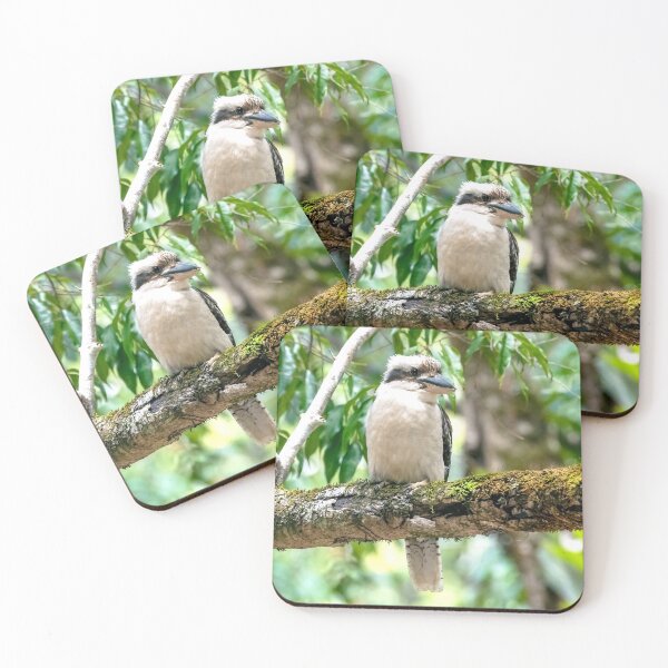Item preview, Another Kookaburra designed and sold by Peter Hocking.
