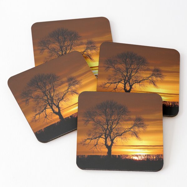 Item preview, Ash Tree Silhouette at Sunset designed and sold by wiggyofipswich.