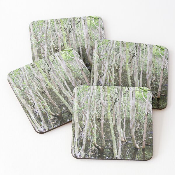 Item preview, Mangrove wet land designed and sold by bradm50.