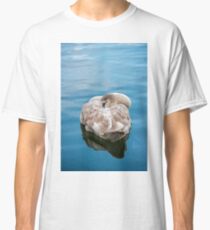 Mute Swan Cygnet at Rest Classic T-Shirt
