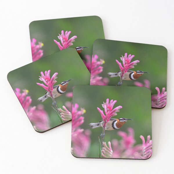 Item preview, Western Spinebill and kangaroo paw designed and sold by Monika-J-Wright.