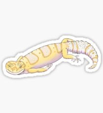 Rainwater Albino Leopard Gecko Sticker