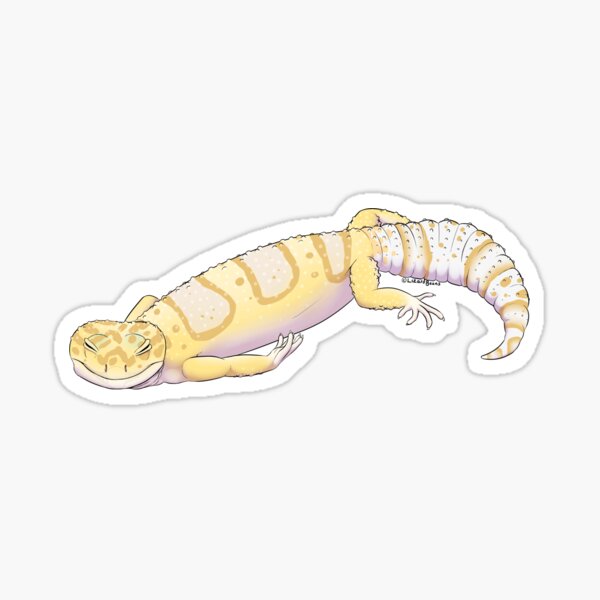 Rainwater Albino Leopard Gecko Sticker