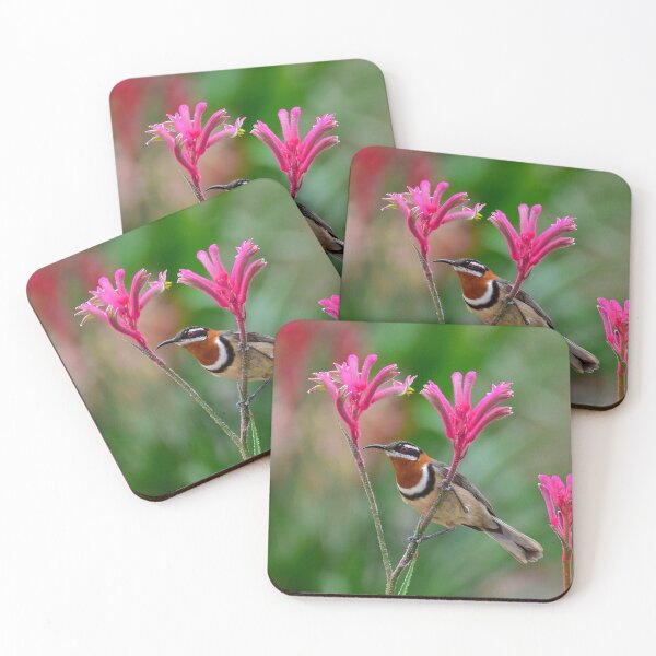 Item preview, Western Spinebill and kangaroo paw designed and sold by Monika-J-Wright.