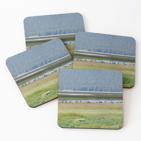 Item preview, Mormon Lake's elk Arizona US designed and sold by tamal778.