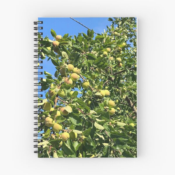Item preview, Apple Tree designed and sold by Art  By A O S.