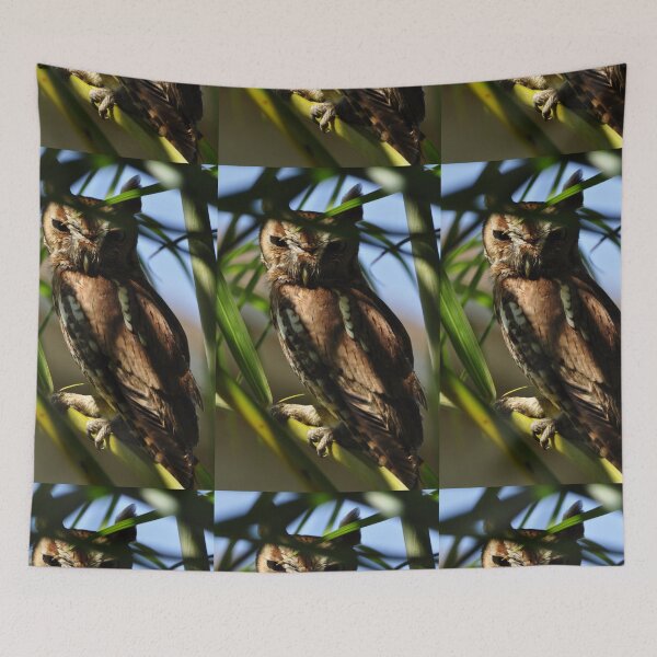 Item preview, Eastern Screech Owl, As Is designed and sold by Kim McClain Gregal.