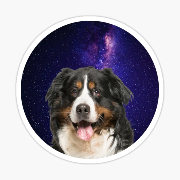 Berner Mom 12oz Foam Can Cooler; Bernese Mountain Dog mom; Dog mom