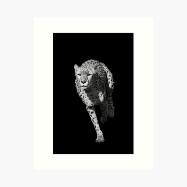 Item preview, Running Cheetah Black & White Nr.2 designed and sold by RicardaRuff.