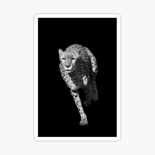 Cheetah Sticker – Thrill Seekers