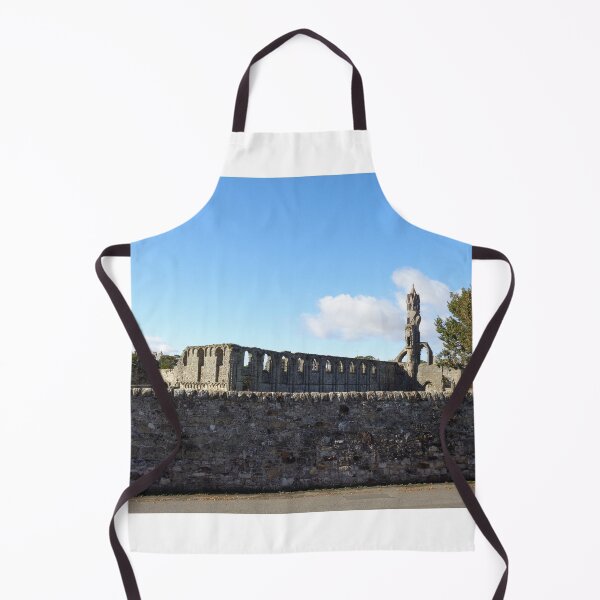 Item preview, St andrews Cathedral Scotland (1) designed and sold by Scottish Photography .