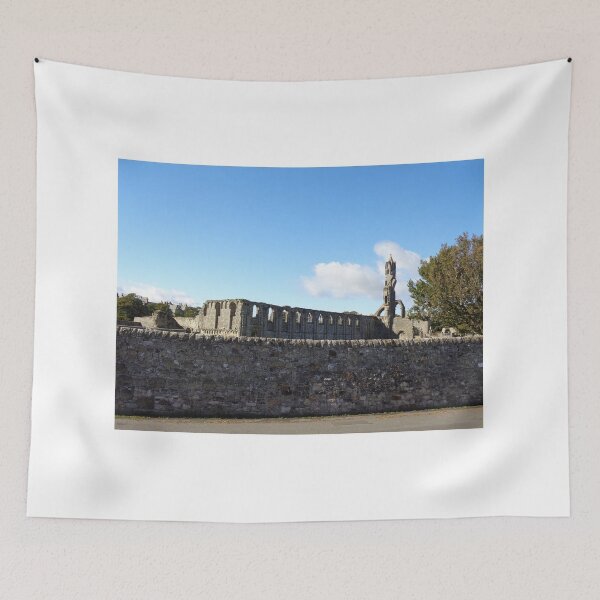 Item preview, St andrews Cathedral Scotland (1) designed and sold by Scottish Photography .