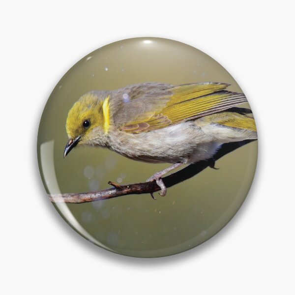 Item preview, Bath time- Yellow Plumed Honeyeater designed and sold by Monika-J-Wright.