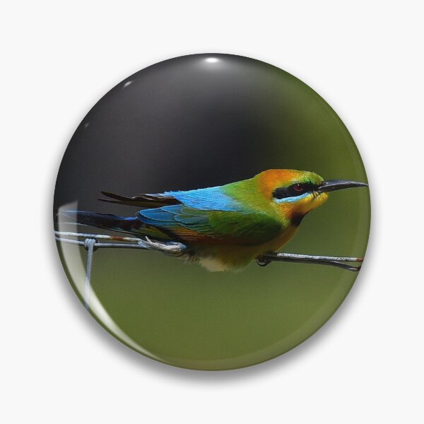 Artikelvorschau, Gegenwind (Rainbow Bee Eater) entworfen und verkauft von Monika-J-Wright.
